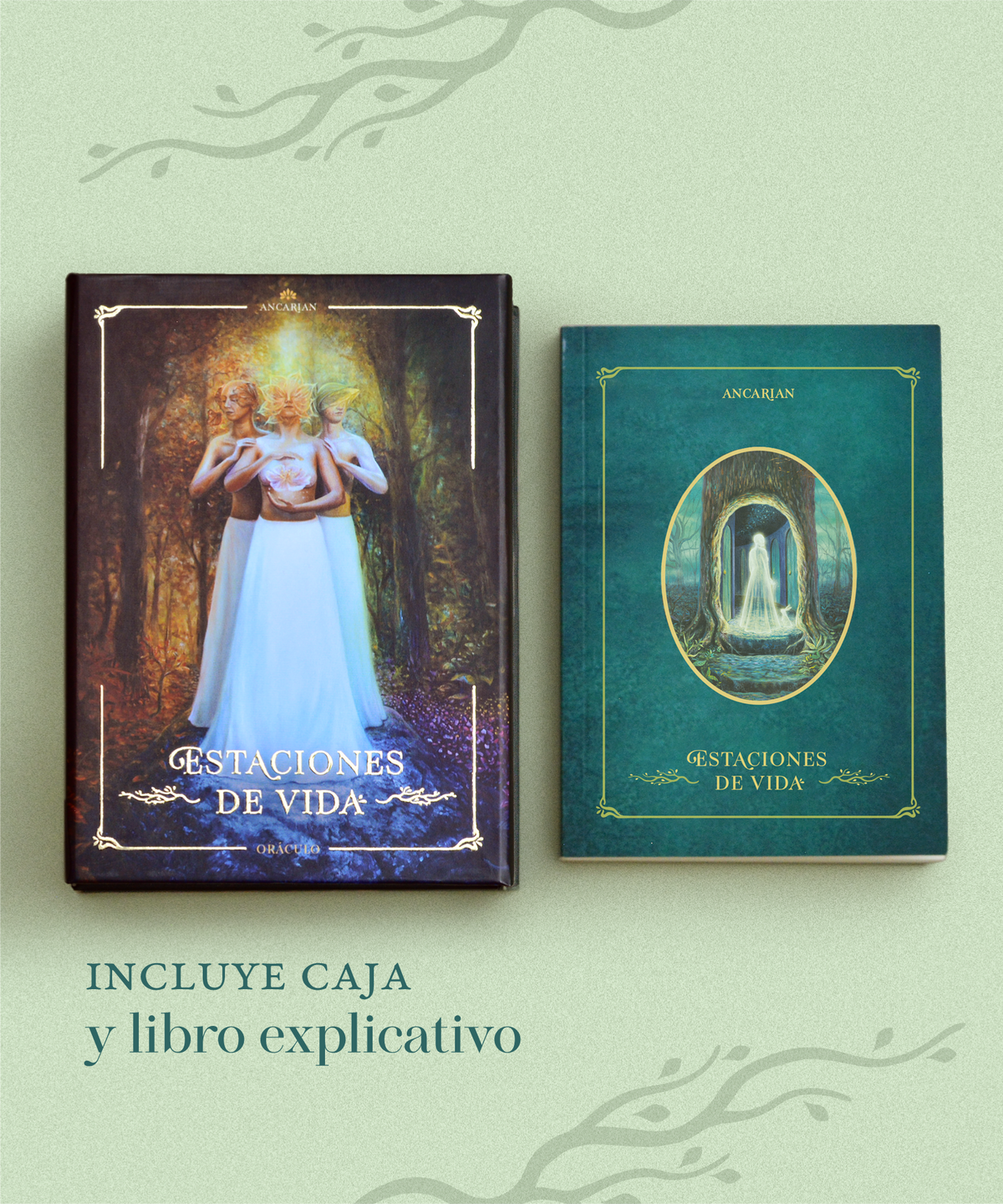 Oráculo Estaciones de Vida