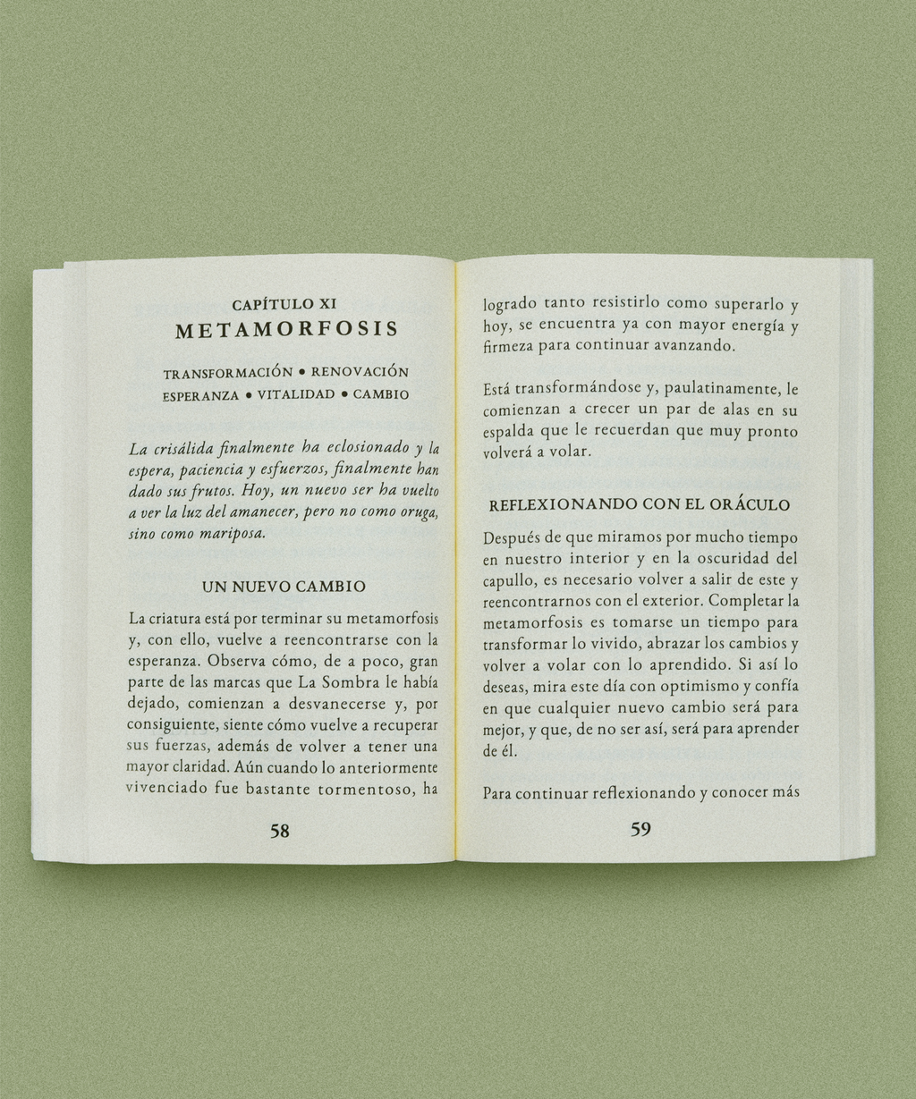 Cartas Oráculo La Rueda de Luz & Sombra