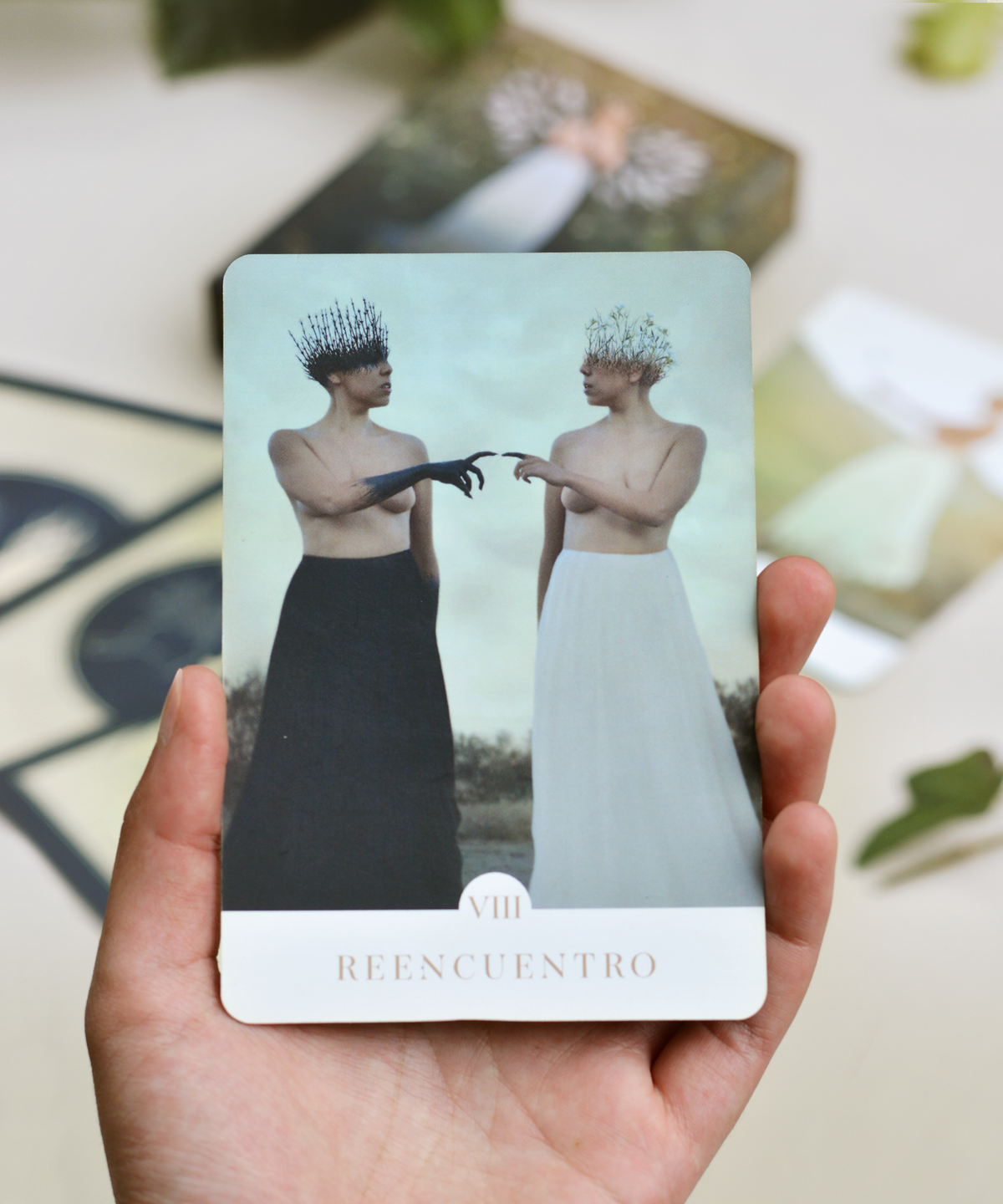 Cartas Oráculo La Rueda de Luz & Sombra