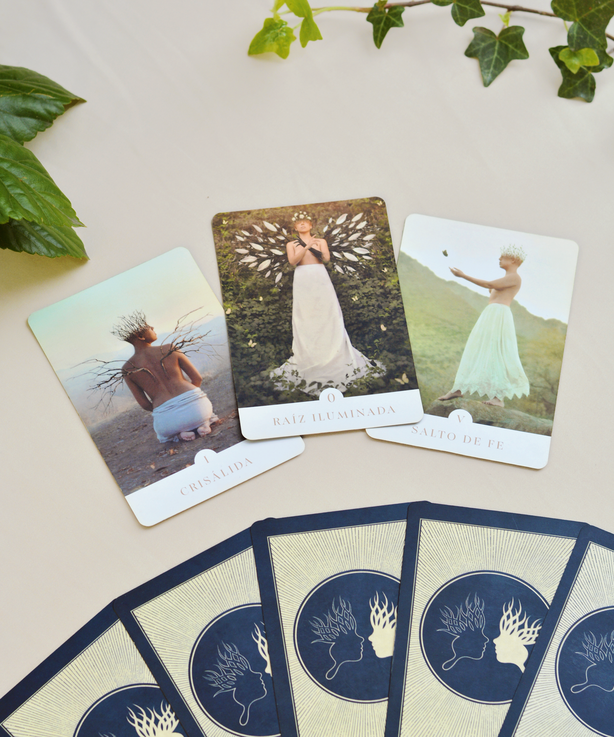 Cartas Oráculo La Rueda de Luz & Sombra