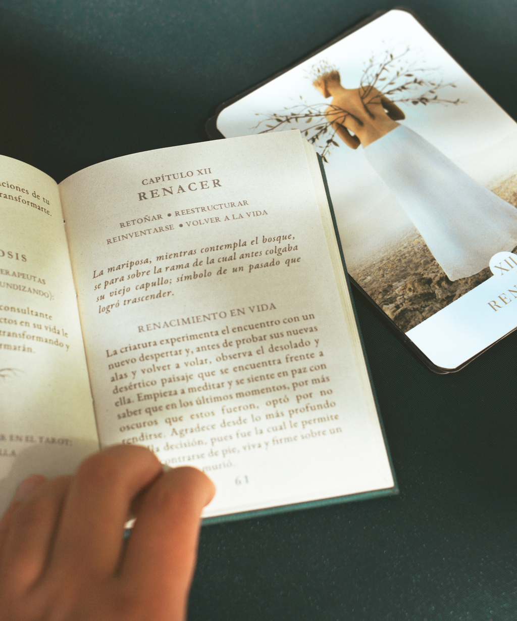 Cartas Oráculo La Rueda de Luz & Sombra