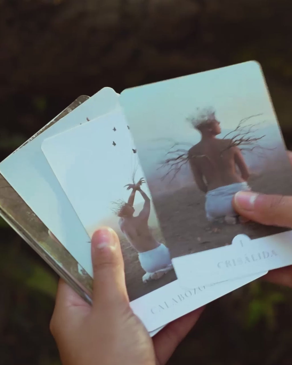 Cartas Oráculo La Rueda de Luz & Sombra